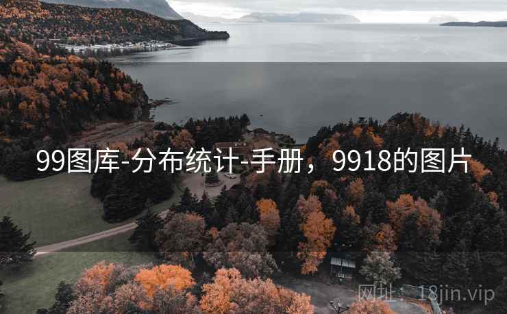 99图库-分布统计-手册，9918的图片